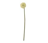 Hill Interiors Allium Stem Artificial Plant - Cream - 80cm - Cream