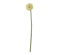 Hill Interiors Allium Stem Artificial Plant - Cream - 90cm - Cream - 100% Mixed