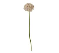 Hill Interiors Allium Stem Artificial Plant - Lilac - 80cm - Lilac - 100% Mixed