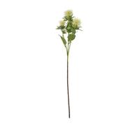 Hill Interiors Anemone Spray Artificial Flower Cream (One Size)