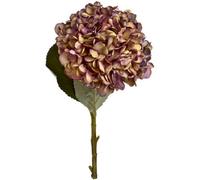 Hill Interiors Artificial Autumn Hydrangea Coffee (One Size)