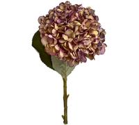 Artificial Autumn Hydrangea Hill Interiors Light Brown One Size