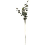 Hill Interiors Artificial Cineraria Eucalyptus Spray - Green - One Size - Green - 100% Mixed