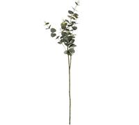 Hill Interiors Artificial Cineraria Eucalyptus Spray - Green - One Size - Green