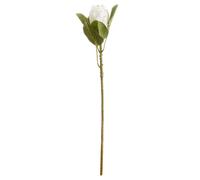 Artificial Closed Protea Flower Hill Interiors White One Size