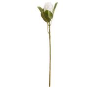 Hill Interiors Artificial Closed Protea Flower White (One Size)