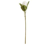 Hill Interiors Artificial Closed Protea Flower - White - One Size - White