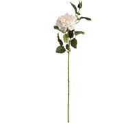 Hill Interiors Artificial Garden Rose Spray in Off-White Hill Interiors Off-White