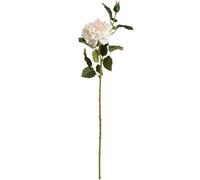 Hill Interiors Artificial Garden Rose Spray in Off-White Hill Interiors Off-White