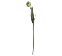 Hill Interiors Artificial Green Tulip Plant - Green - One Size - Green