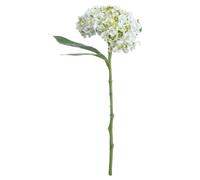 Hill Interiors Artificial Lace Cap Hydrangea Stem - Whiite - Whiite - One Size