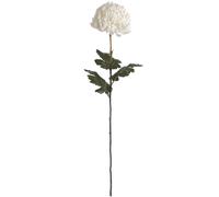 Hill Interiors Artificial Large ChrysanthamumOne Size Off White HI2883