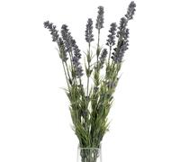 Hill Interiors Artificial Lavender Bush - Purple/Green - One Size