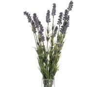 Hill Interiors Artificial Lavender Bush Purple/green (One Size)