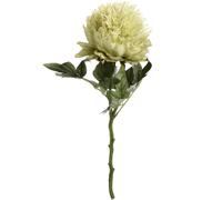 Hill Interiors Artificial Short Stem Peony - Green - One Size