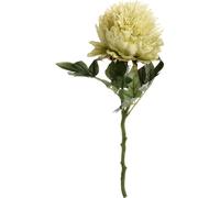 Hill Interiors Artificial Short Stem Peony in Green Hill Interiors Green