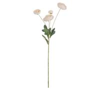 Hill Interiors Artificial Single Stem Ranunculus - Cream - One Size - Cream - 100% Synthetic