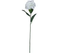 Hill Interiors Artificial Small Head Hydrangea In White White