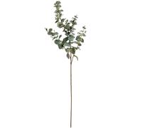 Hill Interiors Artificial Variegated Eucalyptus - Sage - One Size - Sage - 100% Mixed