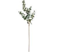 Hill Interiors Artificial Variegated Eucalyptus - Sage - One Size - Sage