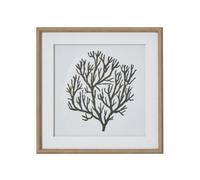 Hill Interiors Atol Coral Art Mounted In Beaded Frame - Glass - L2 X W40 X H40 Cm - Brown