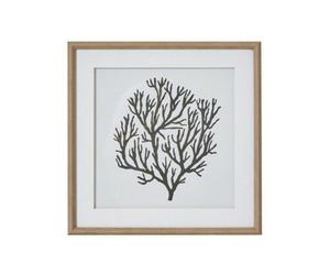 Hill Interiors Atol Coral Art Mounted In Beaded Frame - Glass - L2 X W40 X H40 Cm - Brown