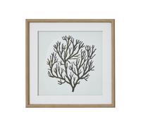 Hill Interiors Atol Coral Framed Art Print - Brown/Grey/White - Brown/Grey/White - 40cm x 2cm x 40cm