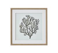 Hill Interiors Atol Coral Framed Art Print In Dark Brown Dark Brown One Size