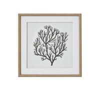 Hill Interiors Atol Coral Framed Art Print In Dark Brown Dark Brown