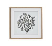 Hill Interiors Atol Coral Framed Art Print In Dark Brown Dark Brown One Size