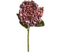 Hill Interiors Autumn Coffee Hydrangea Artificial Flower (Single Stem) - Fabric/plastic - L18 X W18 X H42 Cm - Orange/red