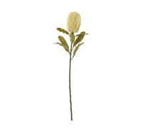 Hill Interiors Banksia Serrata Artificial Flower - Cream - One Size - Cream - 100% Mixed