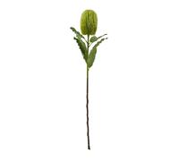 Hill Interiors Banksia Serrata Artificial Flower - Green - One Size - Green - 100% Mixed