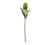 Hill Interiors Banksia Serrata Artificial Flower - Green - One Size - Green