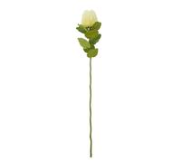 Hill Interiors Banksia Stem Artificial Plant - Cream - One Size - Cream - 100% Mixed