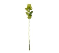 Hill Interiors Banksia Stem Artificial Plant In Green Green