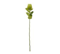 Hill Interiors Banksia Stem Artificial Plant - Green - One Size - Green
