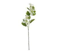 Hill Interiors Bauhinia Orchid Spray Artificial Flower - Cream/Green - One Size