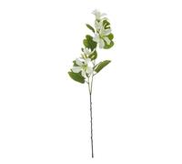 Hill Interiors Bauhinia Orchid Spray Artificial Flower (One Size) (Cream/Green)
