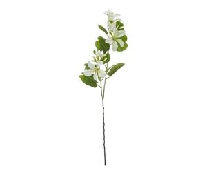 Hill Interiors Bauhinia Orchid Spray Artificial Flower (One Size) (Cream/Green)