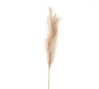 Hill Interiors Bleached Large Faux Pampas Grass Stem