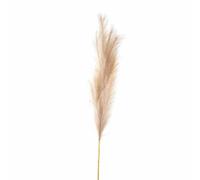 Hill Interiors Bleached Large Faux Pampas Grass Stem Artificial Plant - Fabric/plastic - L30 X W30 X H120 Cm - White