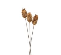 Hill Interiors Bouquet Of Dried Protea Artificial Plant - L12 X W12 X H60 Cm