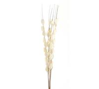 Hill Interiors Bouquet Of Dried Thlaspi Arvense Artificial Flower - White - One Size