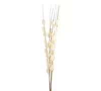 Hill Interiors Bouquet Of Dried Thlaspi Arvense Artificial Plant - L16 X W16 X H120 Cm - White