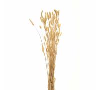 Hill Interiors Bouquet Of Tall Bunny Tails Artificial Plant - L18 X W18 X H76 Cm - White