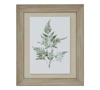 Hill Interiors Bracken Fern Framed Art Print in Dark Brown Hill Interiors Dark Brown