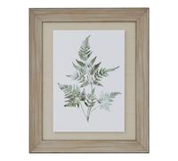 Hill Interiors Bracken Fern Framed Art Print In Dark Brown Dark Brown One Size