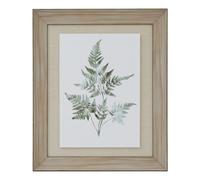 Hill Interiors Bracken Fern Framed Art Print in Dark Brown Hill Interiors Dark Brown