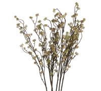 Hill Interiors Branch In Bloom Filler - Green - One Size - Green